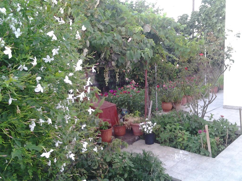 Anestoula Rooms Skala  Luaran gambar